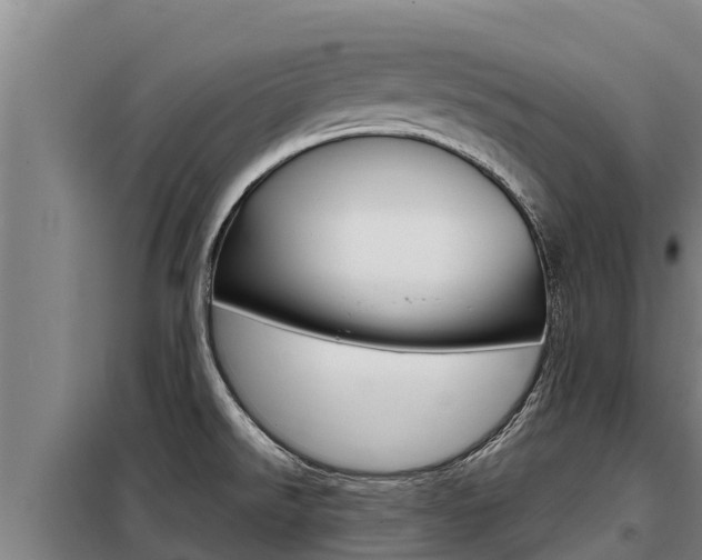 X0000098081526200804040739