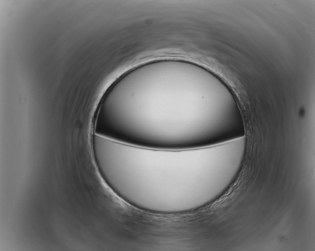 X0000098081527200804040740