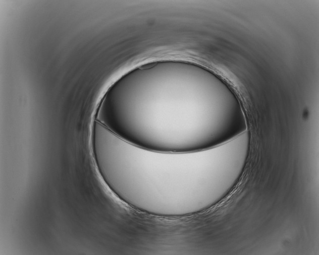 X0000098081528200804040740