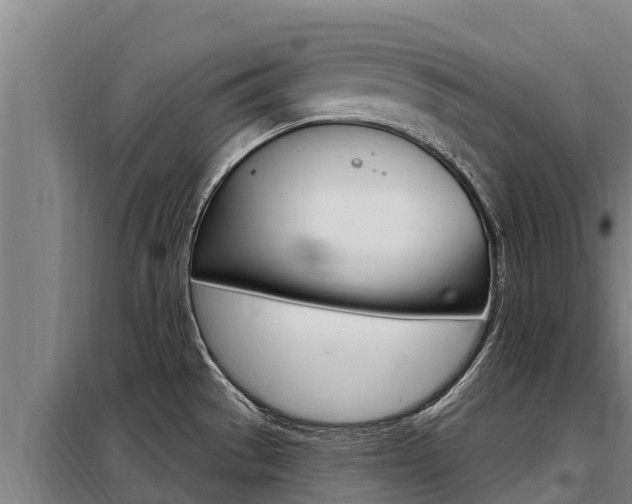 X0000098081529200804040740