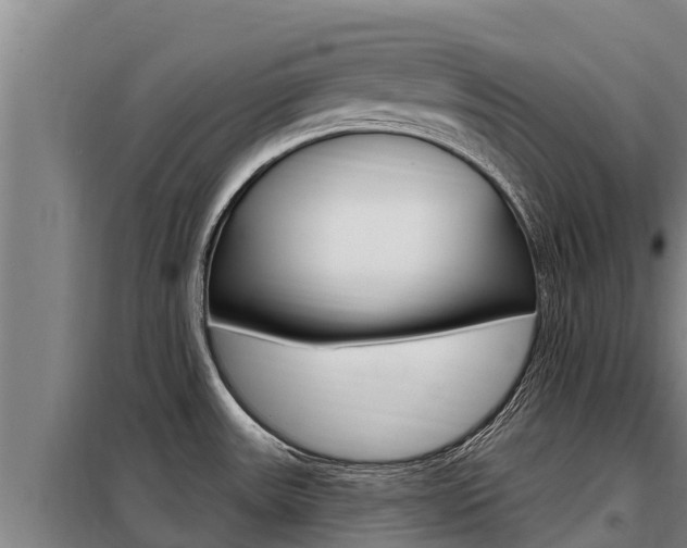 X0000098081531200804040740