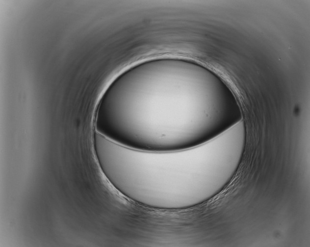 X0000098081532200804040740