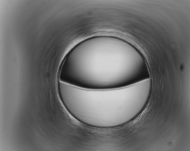 X0000098081533200804040740