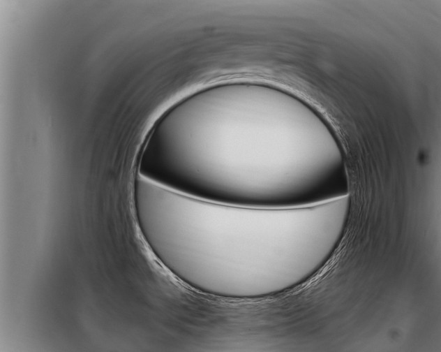 X0000098081534200804040740