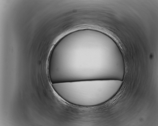 X0000098081535200804040740