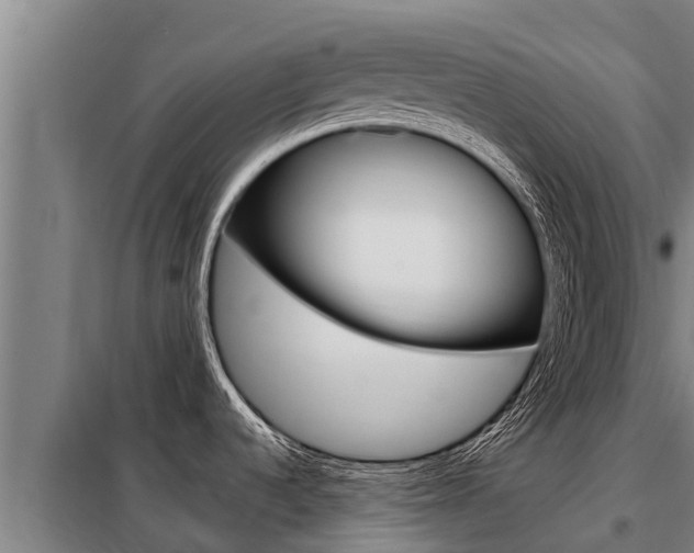 X0000098081536200804040740