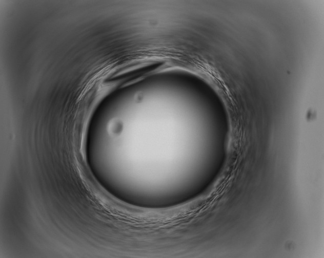 X0000098080001200804041159