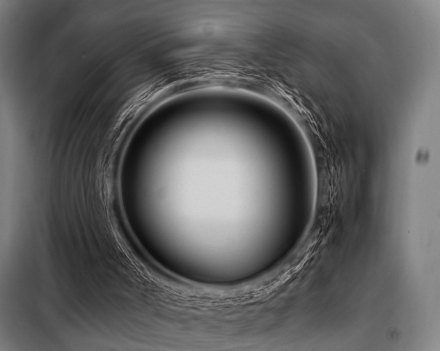 X0000098080002200804041159