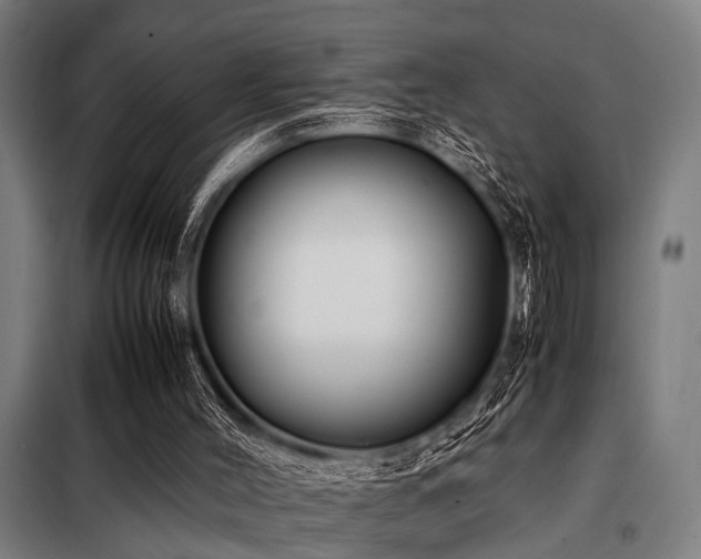 X0000098080004200804041159
