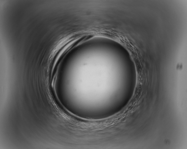 X0000098080005200804041159