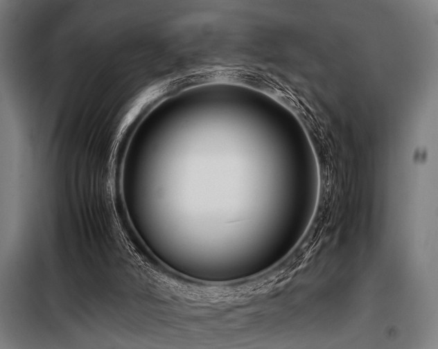 X0000098080006200804041159