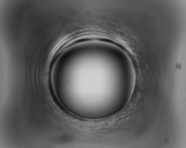X0000098080007200804041159