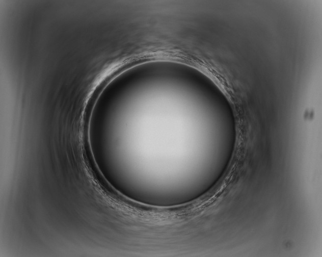 X0000098080008200804041159