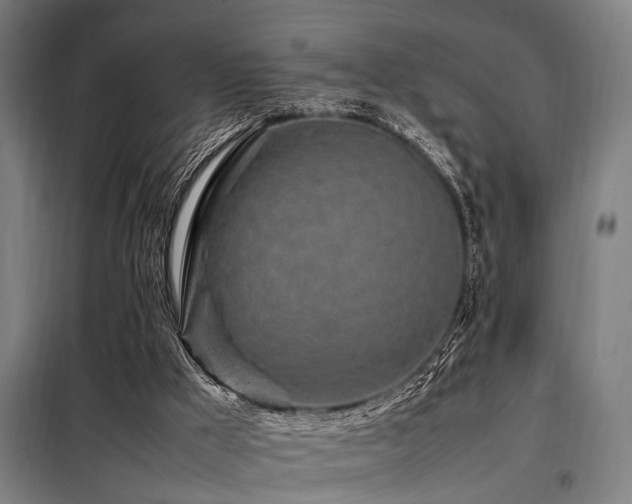 X0000098080009200804041159