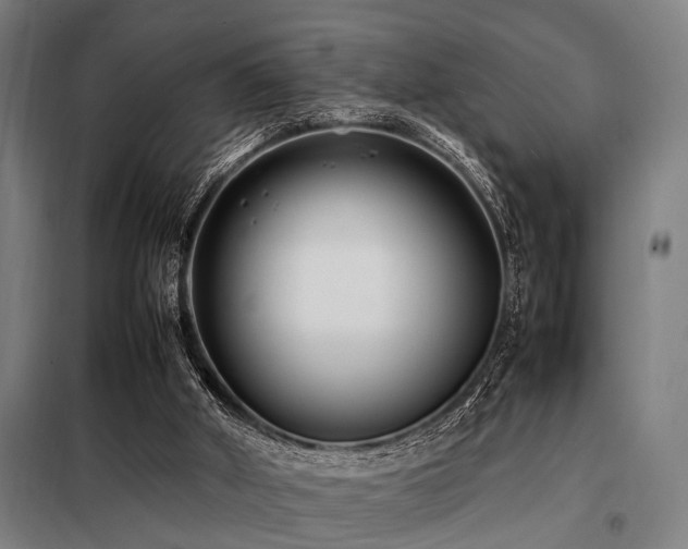 X0000098080010200804041159