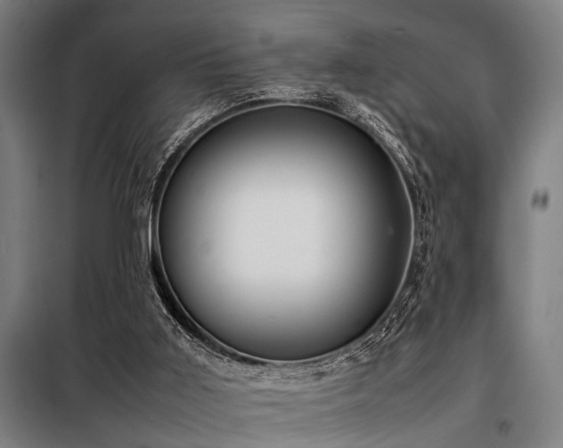 X0000098080011200804041159