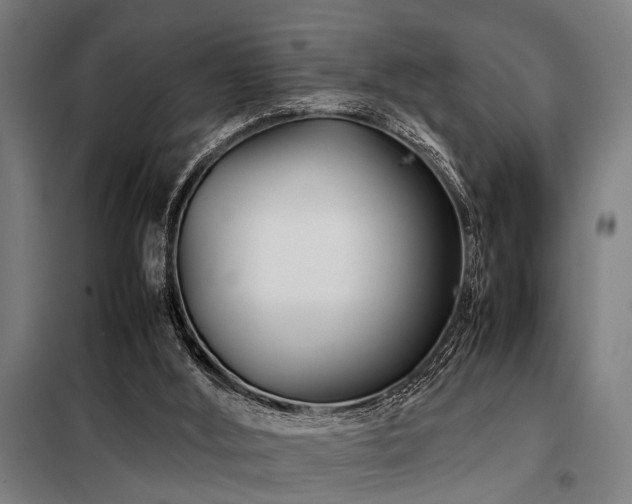 X0000098080012200804041159