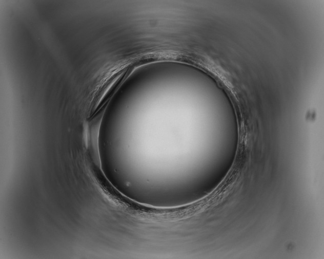 X0000098080013200804041159