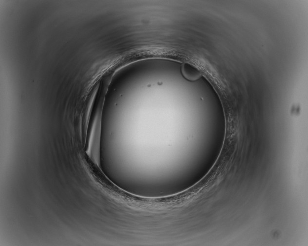 X0000098080014200804041159
