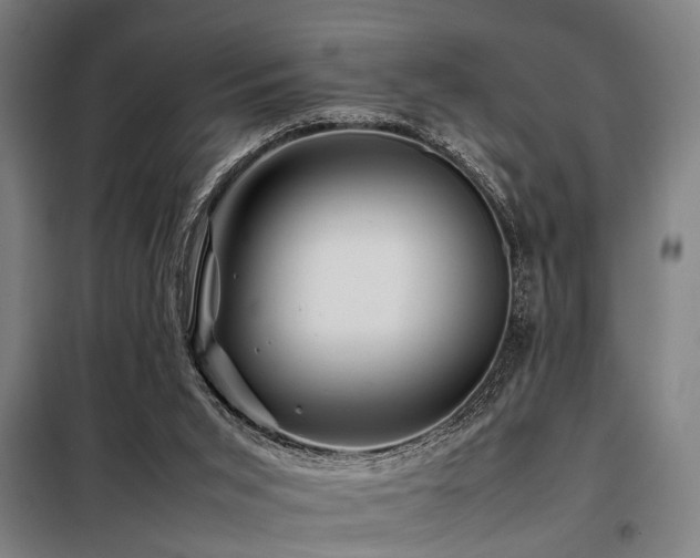 X0000098080015200804041159