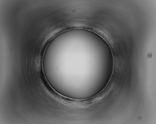 X0000098080016200804041159