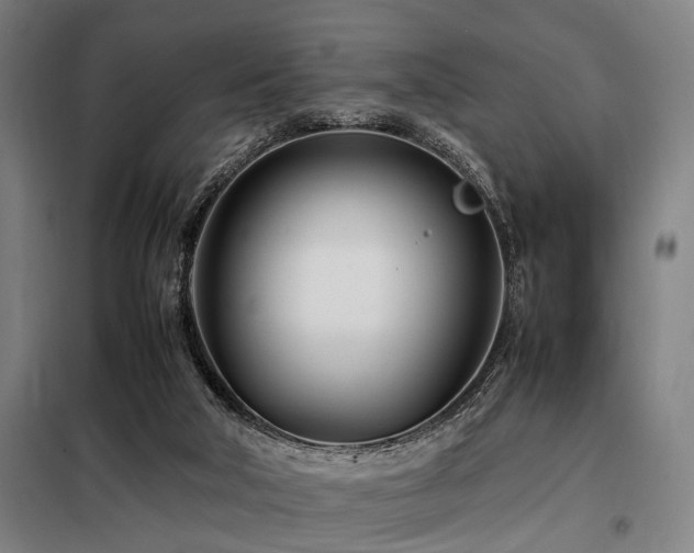 X0000098080018200804041159
