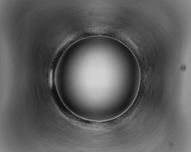 X0000098080020200804041159