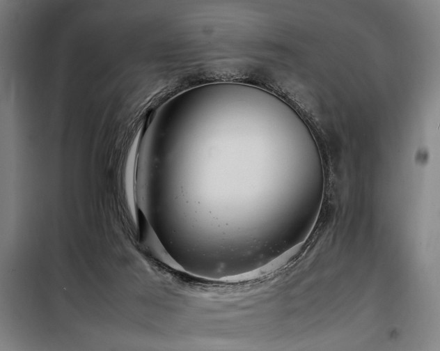 X0000098080021200804041159