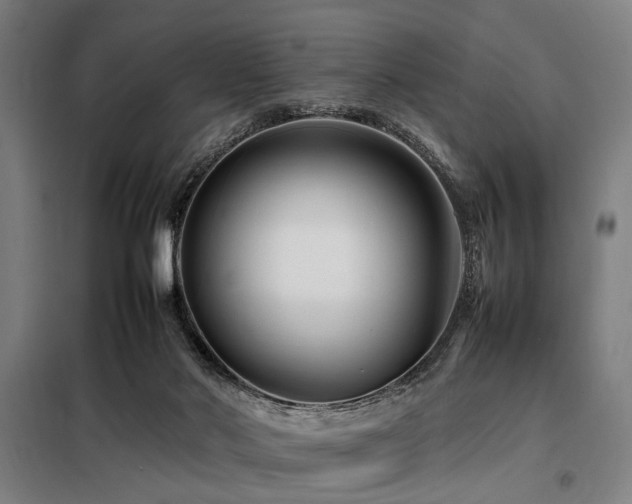 X0000098080022200804041159