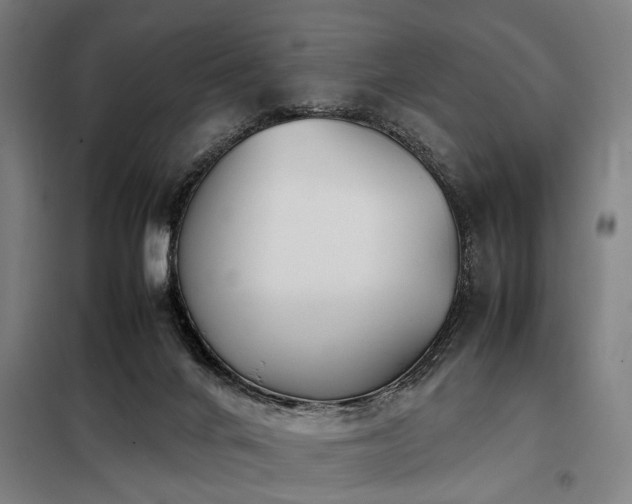 X0000098080024200804041159