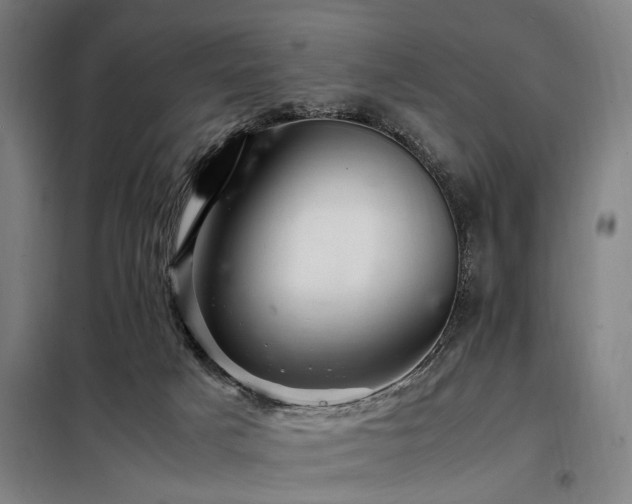 X0000098080025200804041159