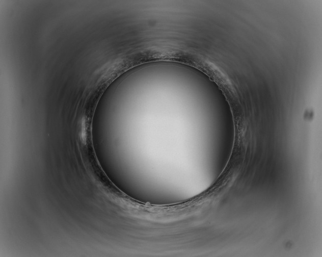 X0000098080026200804041159