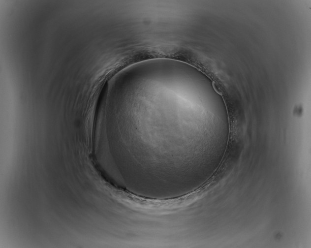 X0000098080027200804041159