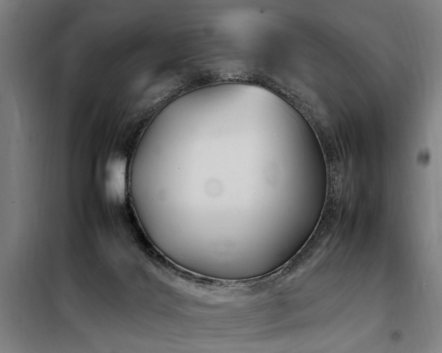 X0000098080028200804041159