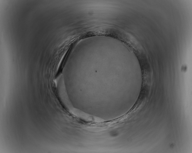 X0000098080029200804041159