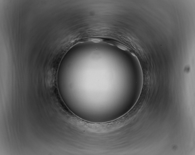 X0000098080030200804041159