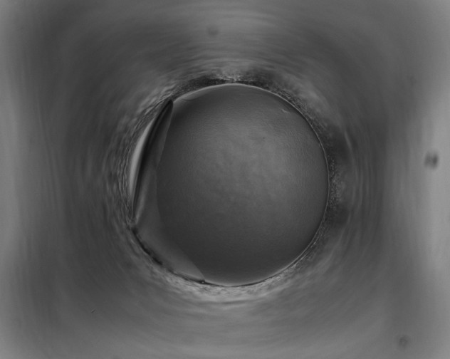 X0000098080031200804041159