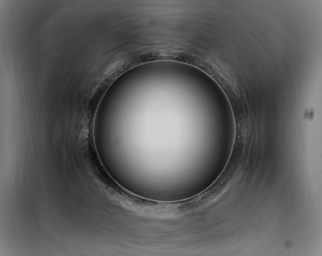 X0000098080032200804041159