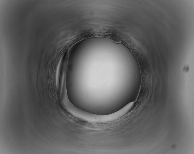 X0000098080033200804041159