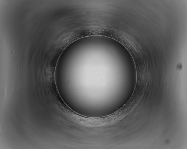 X0000098080034200804041159