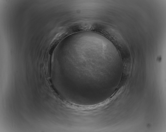 X0000098080035200804041159