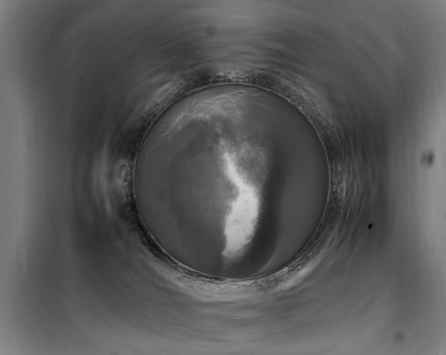 X0000098080036200804041159