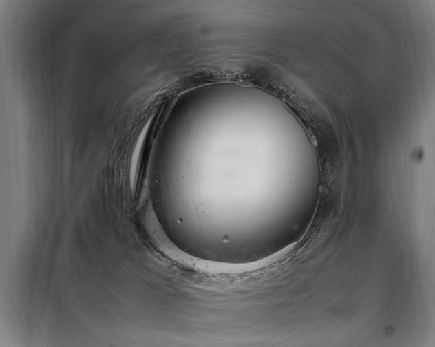 X0000098080037200804041159