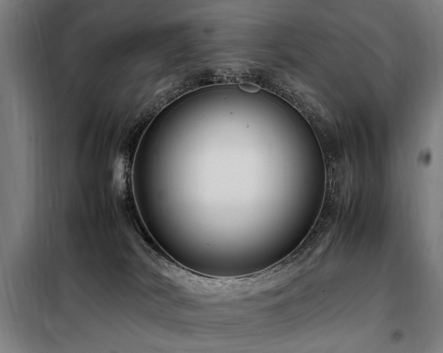 X0000098080038200804041159