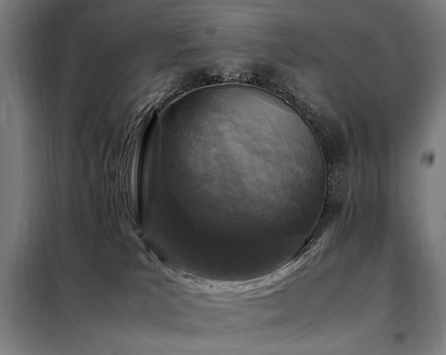 X0000098080039200804041159