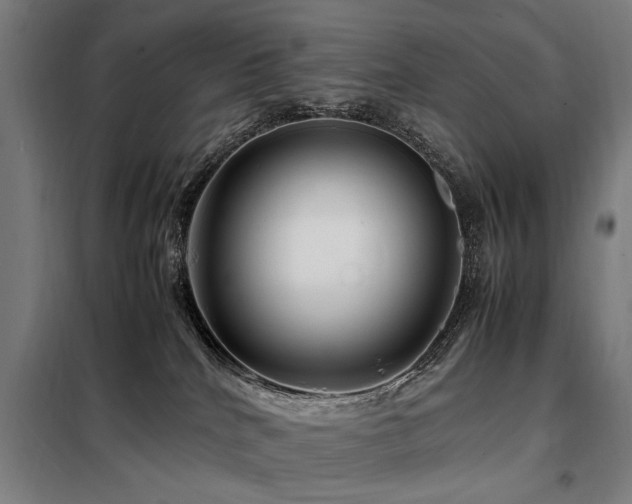 X0000098080040200804041159