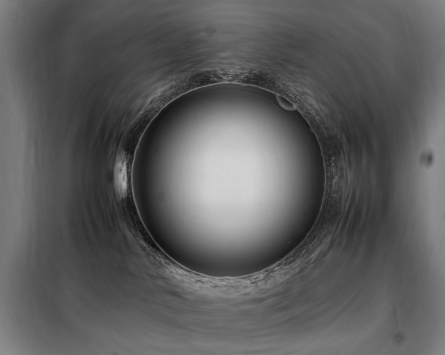 X0000098080042200804041159