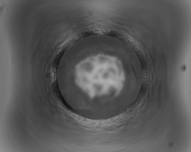 X0000098080043200804041159