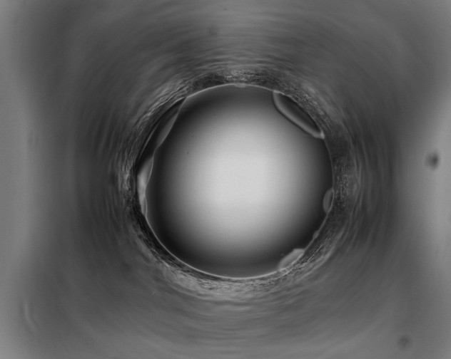 X0000098080044200804041159