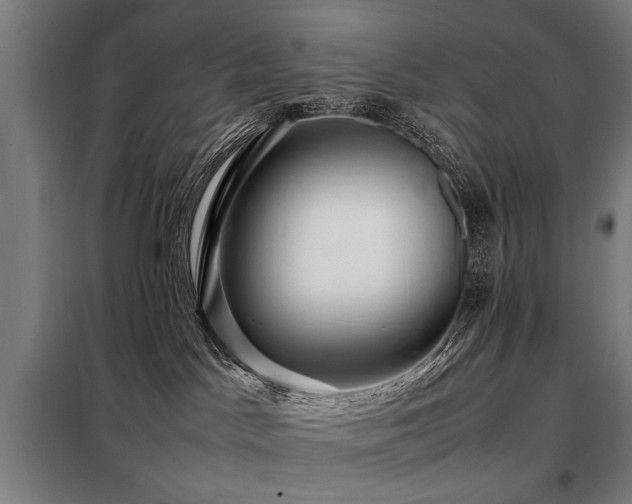 X0000098080045200804041159